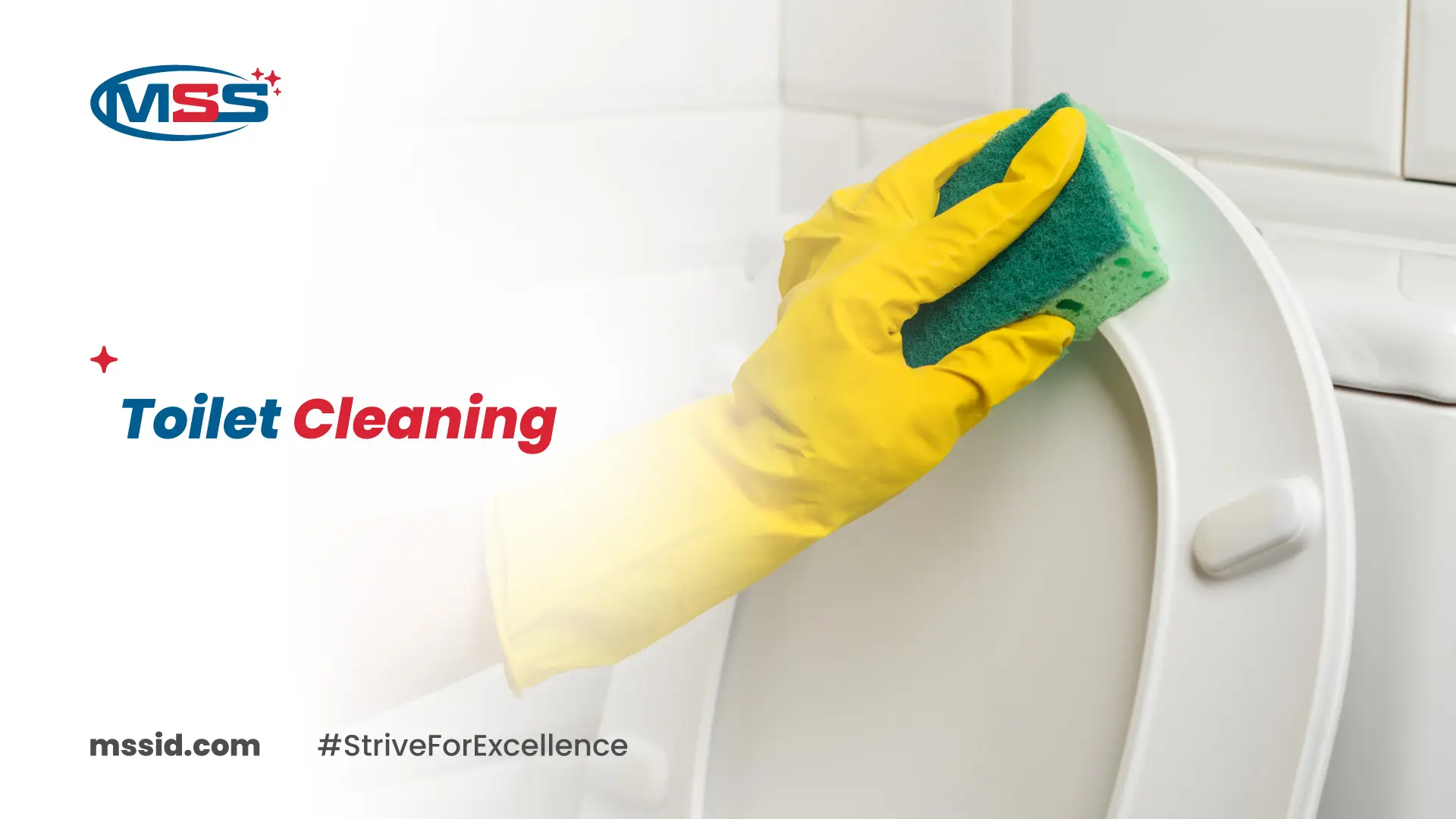 toilet cleaning