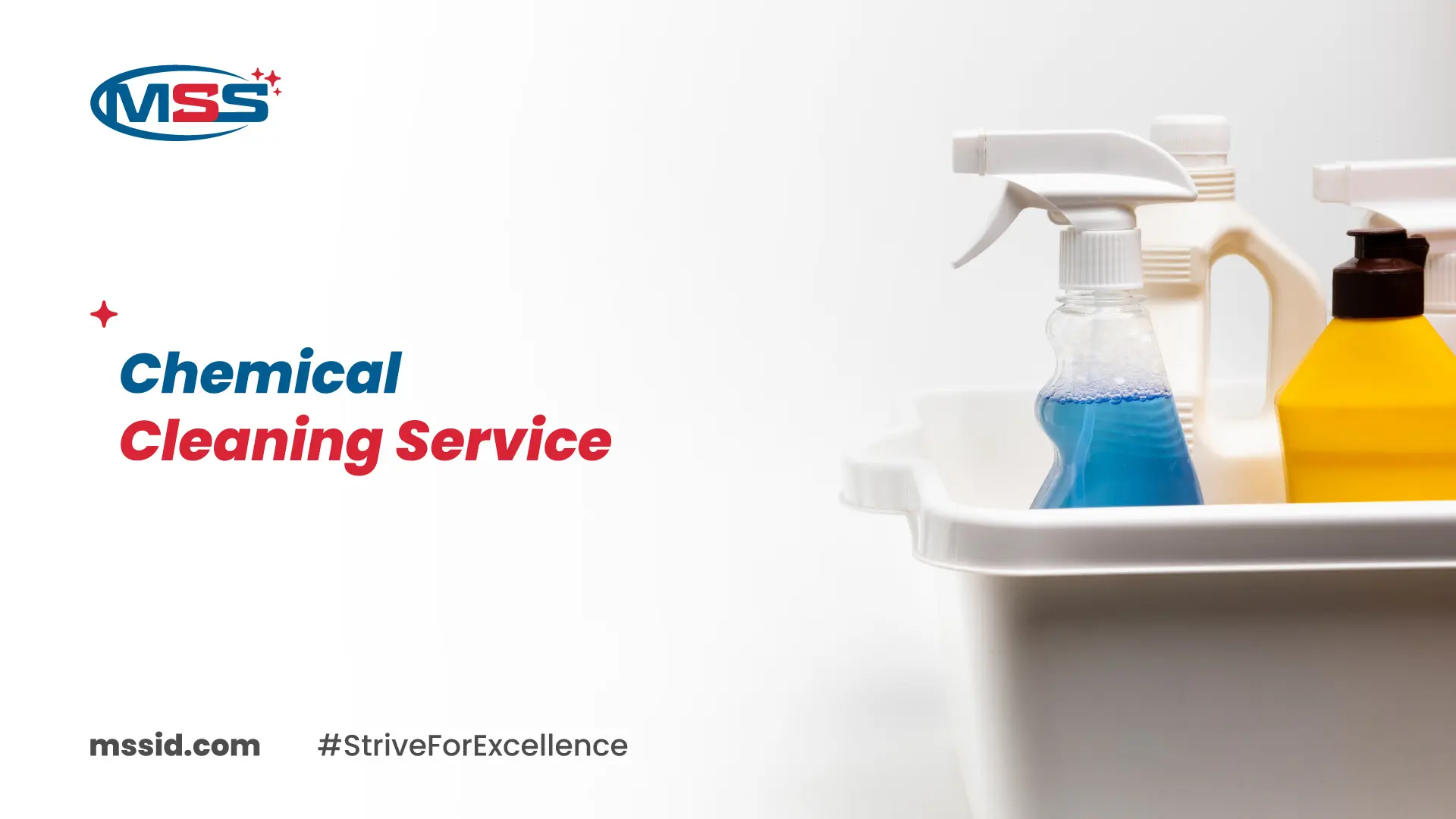 Chemical Cleaning Service