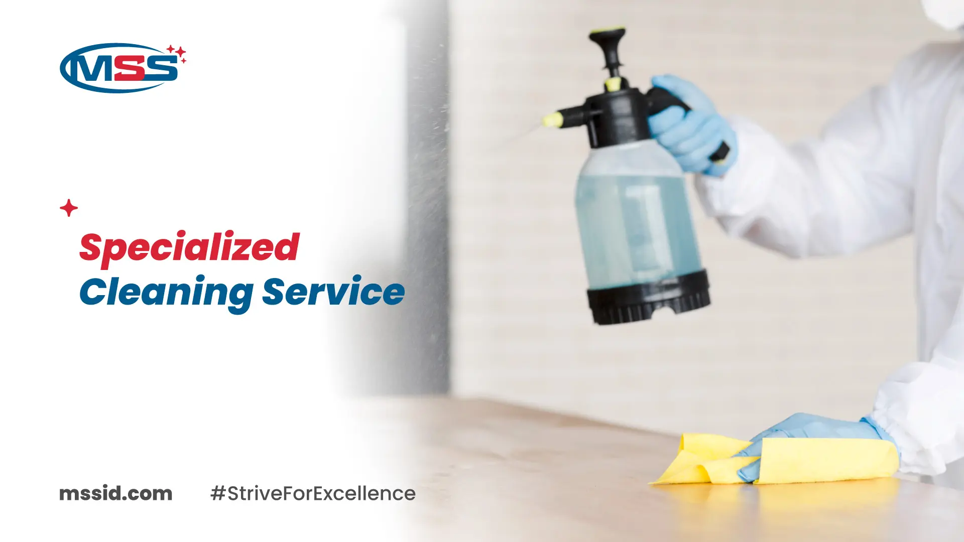 specialized cleaning service