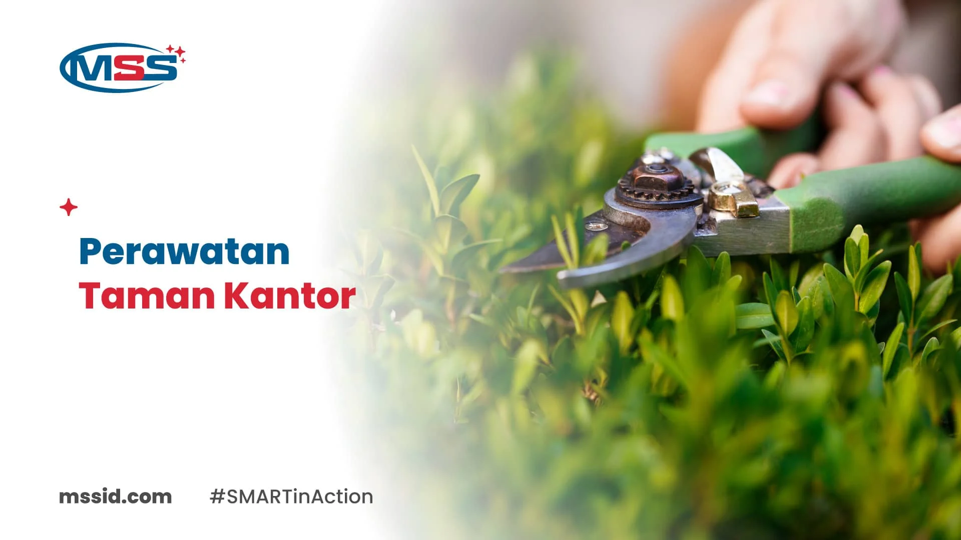 Perawatan Taman Kantor: Manfaat, Cara, dan Memilih Layanan yang Tepat
