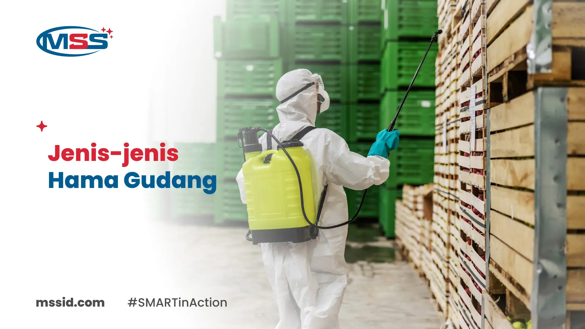 jenis hama gudang
